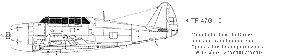 vista perfil do TP-47G da Curtiss