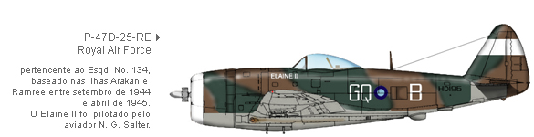 P-47D-25-RE da Real Força Aérea (RAF)