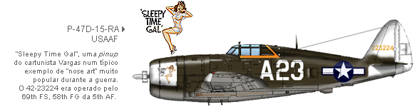 P-47D-15-RA da Força Aérea do Exército Americano (USAAF)